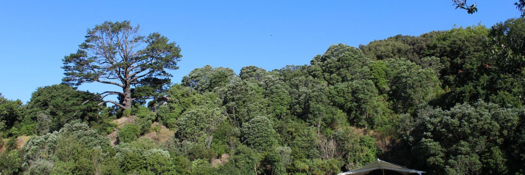 Wilkies Lookout